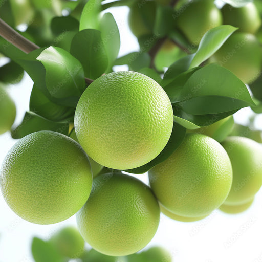 Fresh Sweet Lime (Meethra) 8kg