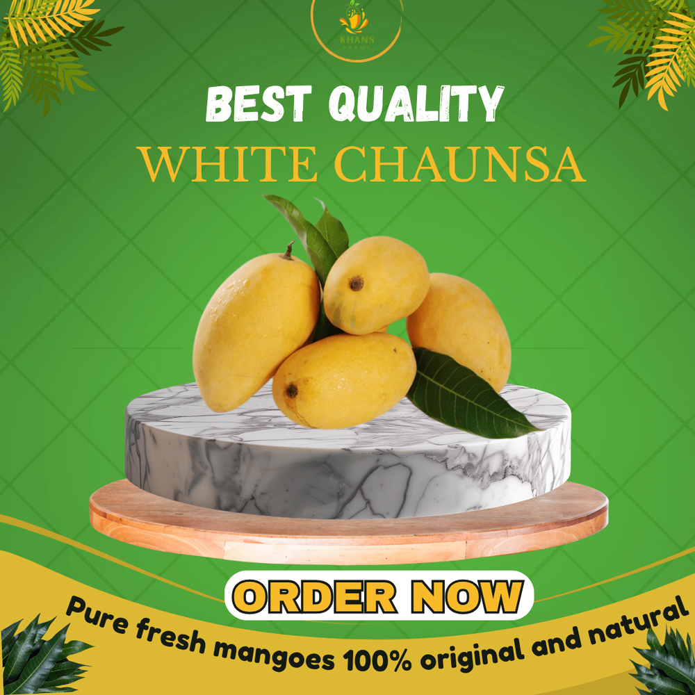 White Chaunsa Premium Quality (From 5th July)