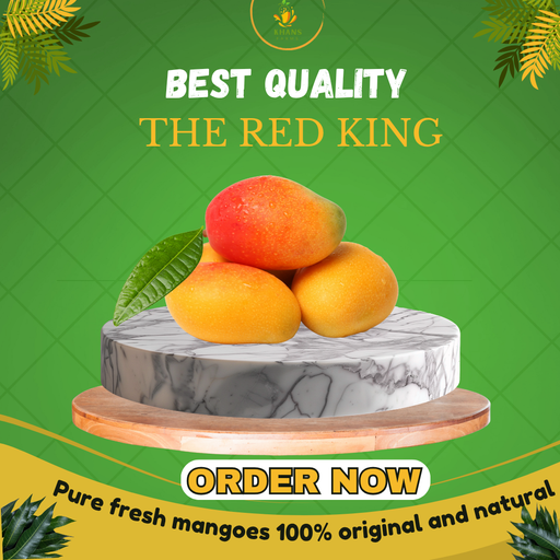 The Red King Premium Quality (1st August)